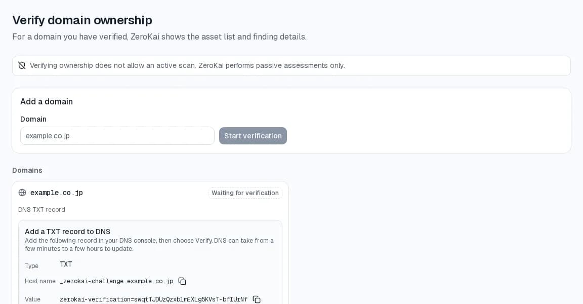 Domain verification screen: example.co.jp pending, with the TXT record type, host name, value, and a Verify button